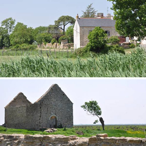  Bourg portuaire de Lavau sur Loire et la chapelle Sainte Anne de Rohars