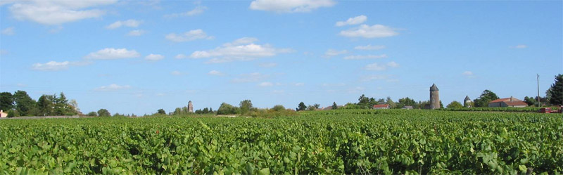 Bourgs et anciens hameaux ponctuant le paysage viticole