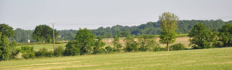 Un paysage vallonn o les lambeaux viticoles simmiscent dans le bocage