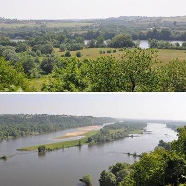 Vue en promontoire sur Loire depuis les coteaux