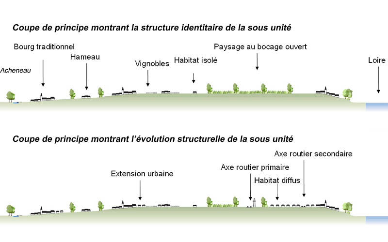 Coupes de principe de structuration du paysage et de son volution