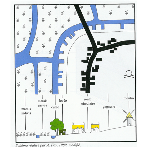 Lurbanisme insulaire, schma (source : de la Brire  lOcan, une mosaque de paysages  dcouvrir, Edition PNRB)