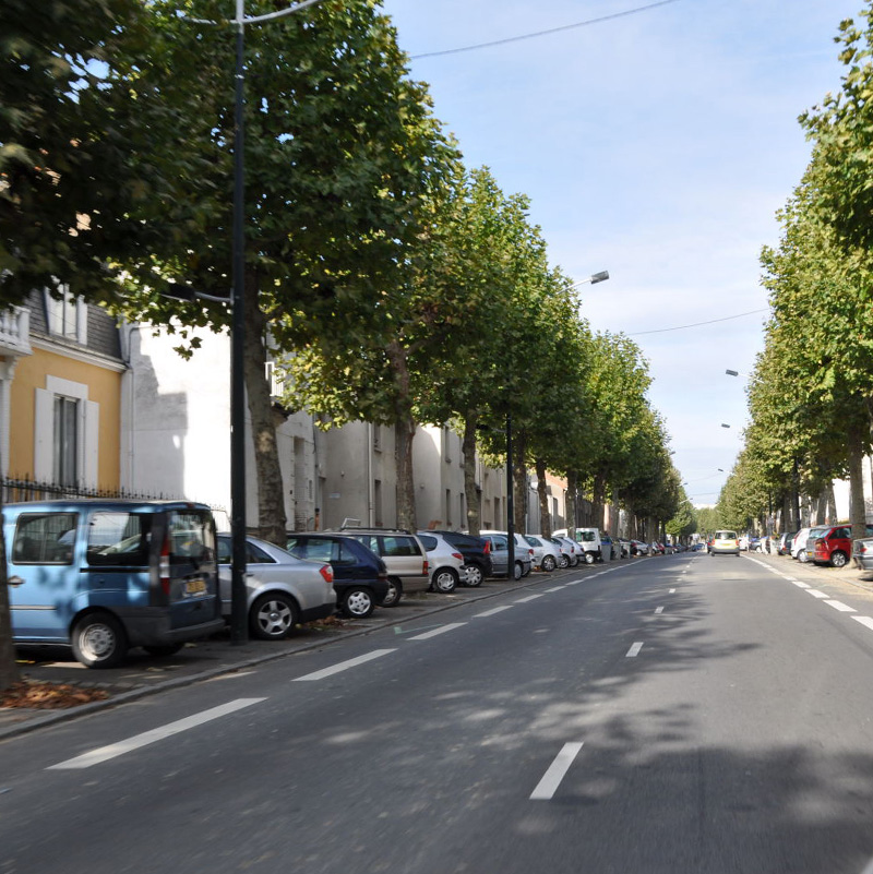 Alignements d'arbres sur les boulevards de ceinture