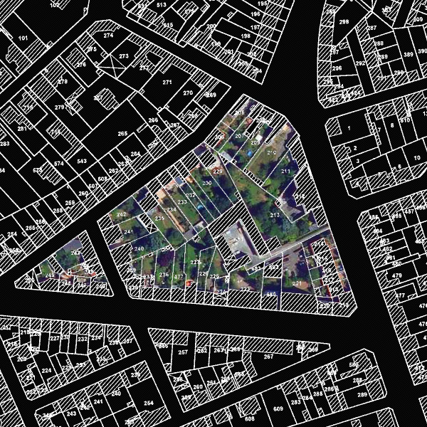 Vue en plan des lots dhabitat avec un cur jardin