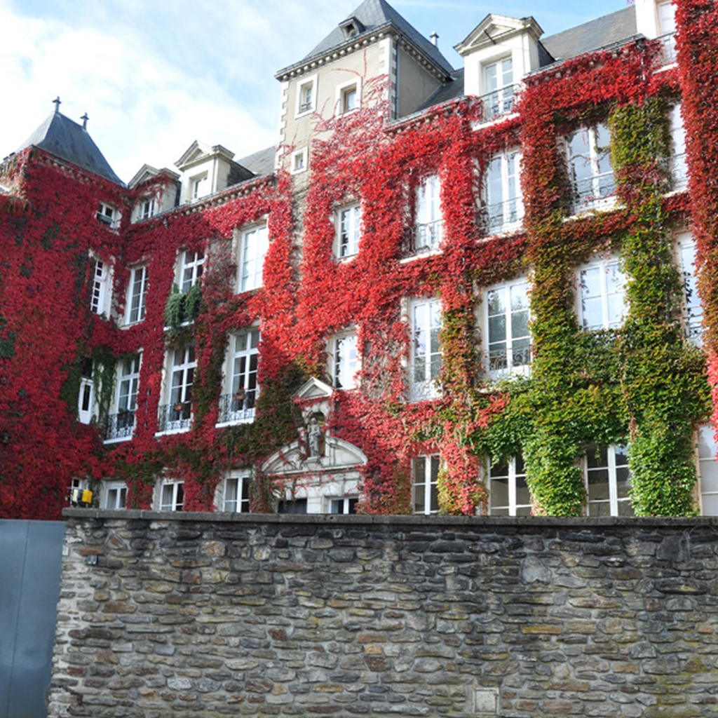 Hotel particulier avec cours, quartier de la Prfecture