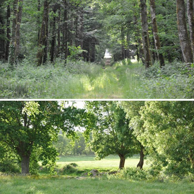 Ambiances fermes et intimistes de la fort de Touvois et du bocage de val de Logne