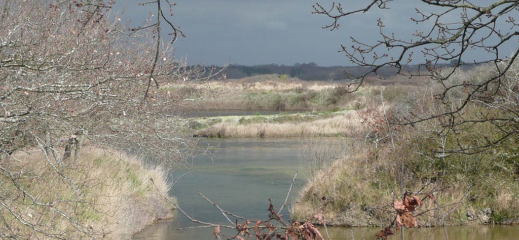 Les marais salants du Ms