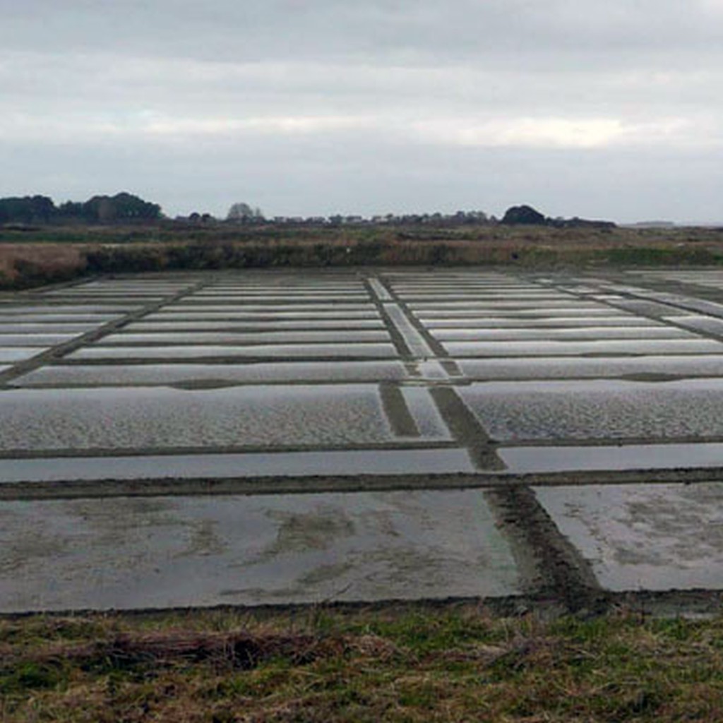 Paysage gomtrique des marais salants