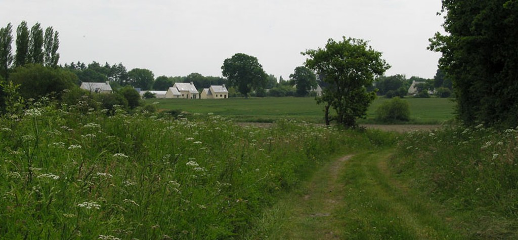 Plateau bocager bois d'Herbignac