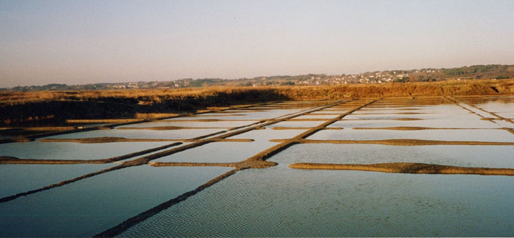 Structure gomtrique des oeillets dans les marais salants de Gurande