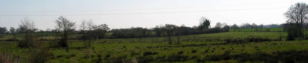  Un paysage de bocage semi-ouvert sur des prairies humides