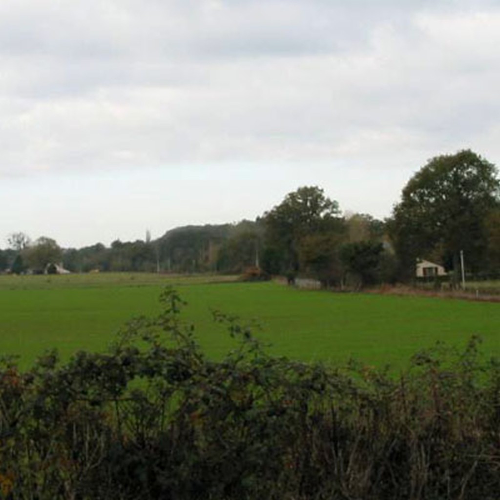 Habitat en clairire