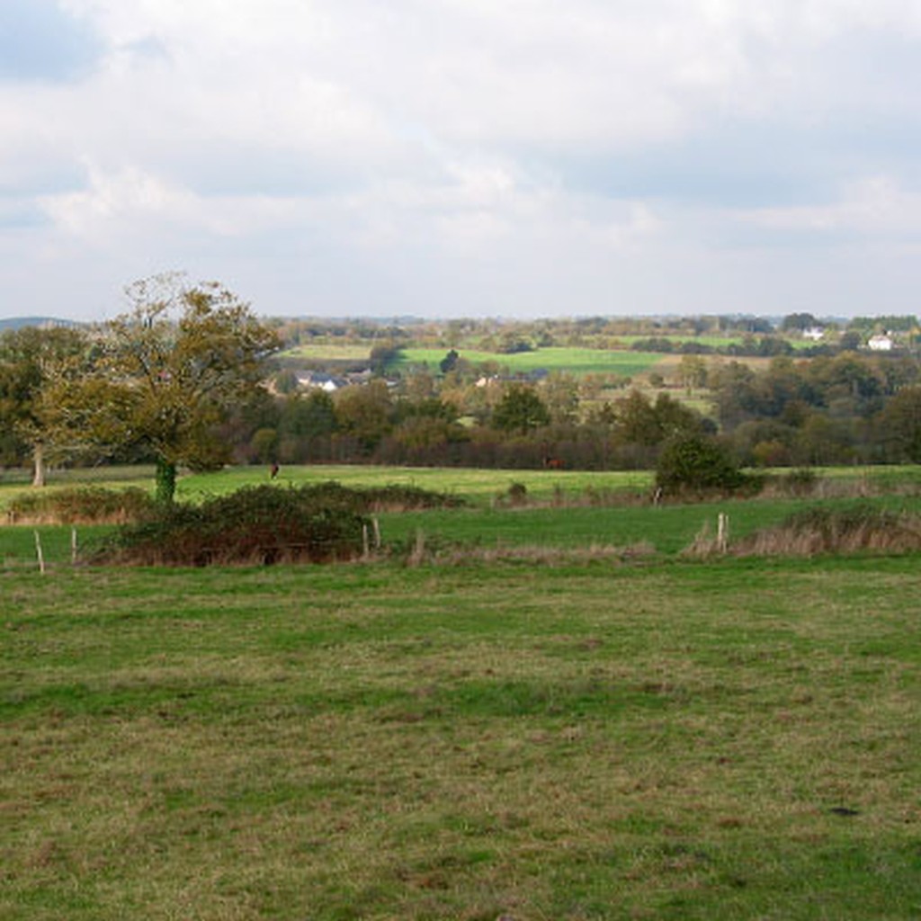 Rseau bocager dense  l'ouest de Chteaubriant