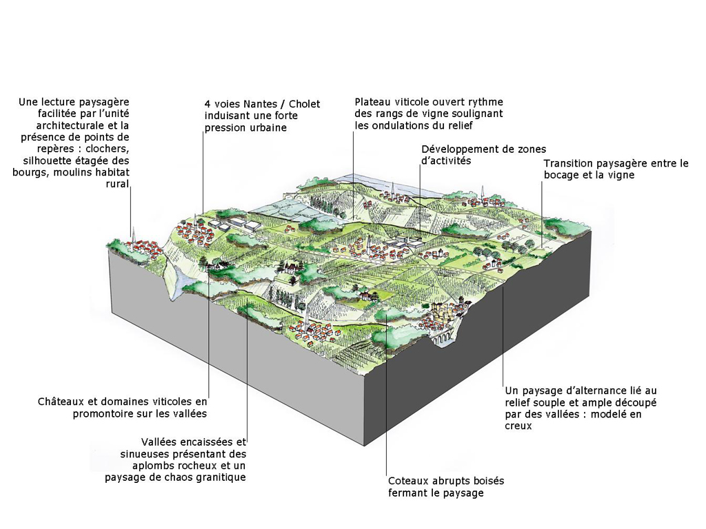 Bloc diagramme Le plateau viticole