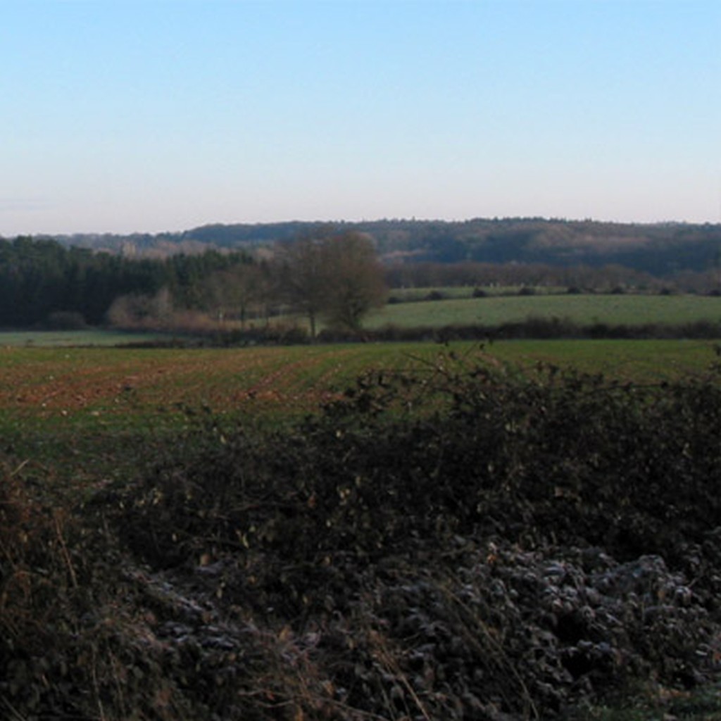 Vue sur le coteau bois de l'Isac et la fort du Gvre  l'horizon