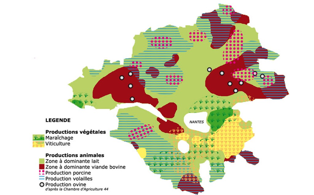 Carte des productions agricoles dpartementales