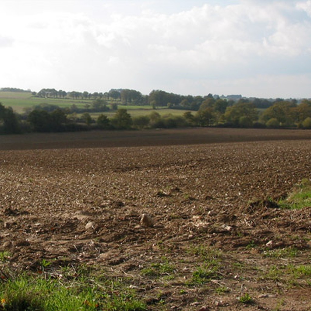 Ouverture du paysage bocager sur les ondulations amples du relief