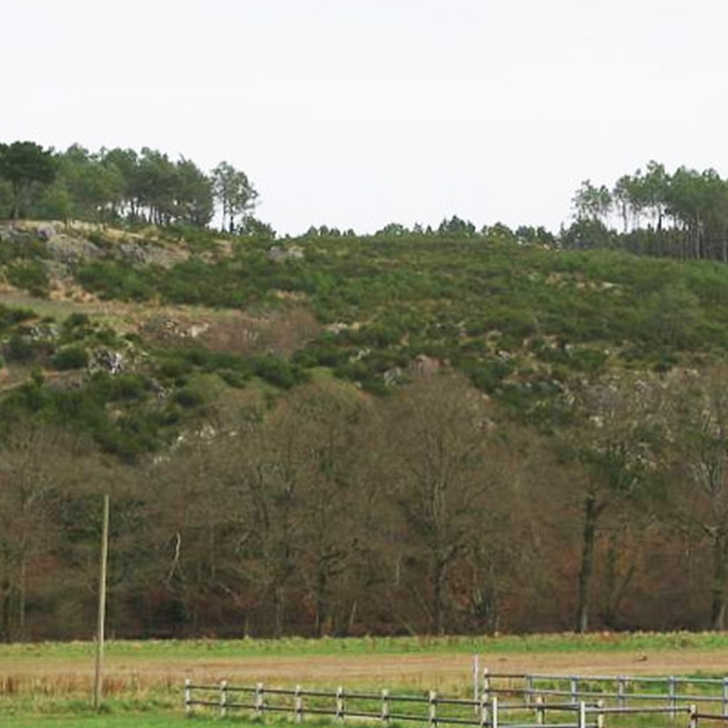 Boisements et lande sur les coteaux du Don  Gumn-Penfao