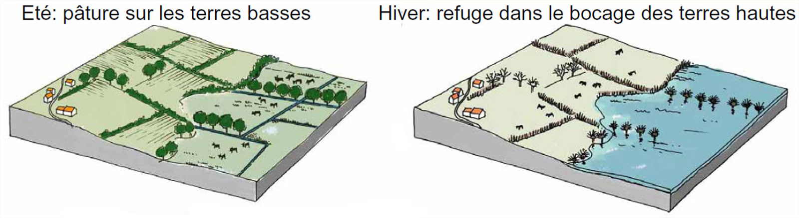 Fonctionnement des pturages de terres hautes et terres basses