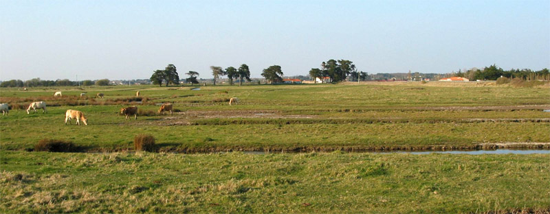 Vue sur le marais Breton