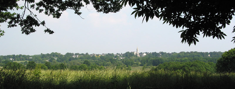 Les coteaux des marais de Vilaine, un paysage en volution