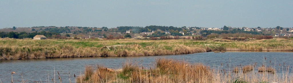 Vue sur les coteaux gurandais depuis le marais