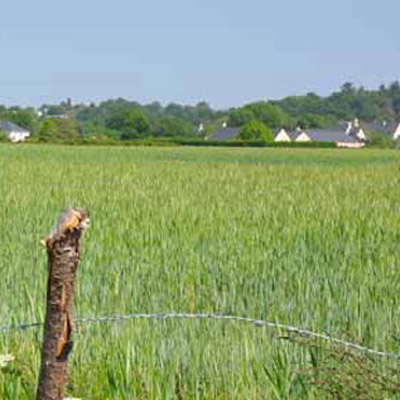 Urbanisation diffuse sur le coteau du sillon de Bretagne