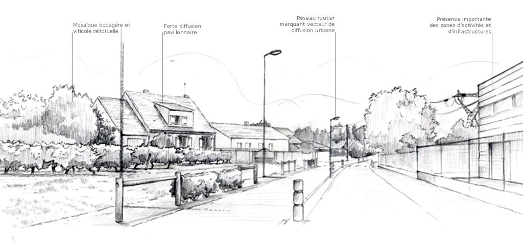 Vue typique de la couronne viticole composite du sud de l'agglomration nantaise