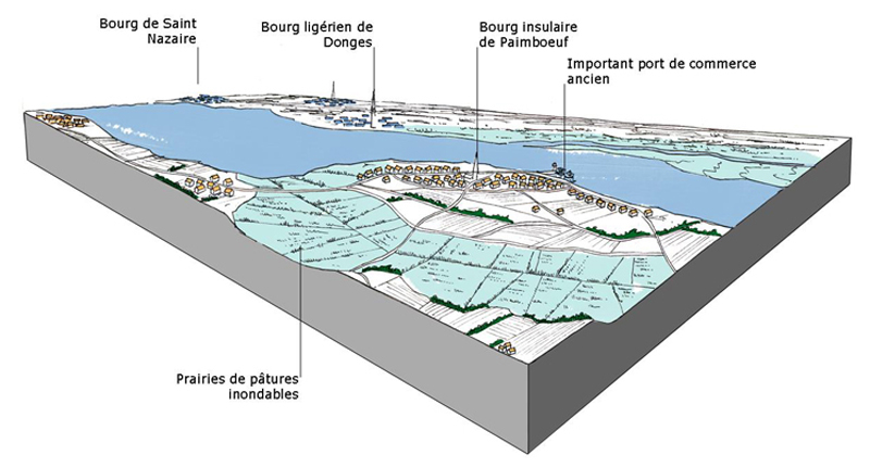 L'estuaire en 1850