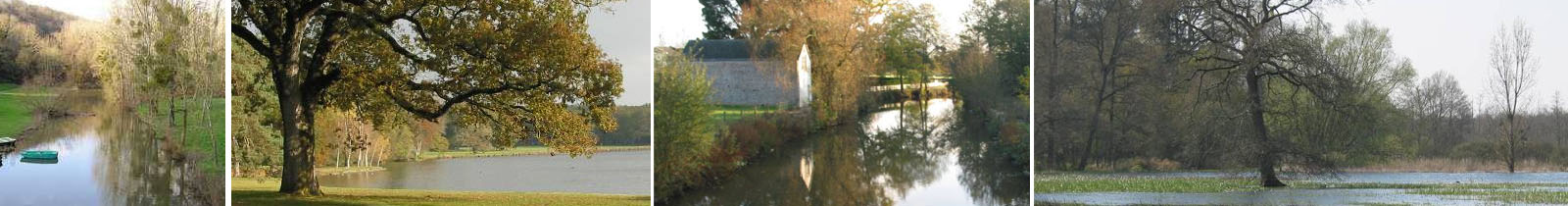 Les formes de l'eau