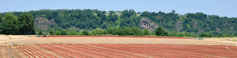 Aplombs rocheux sur le val de Loire