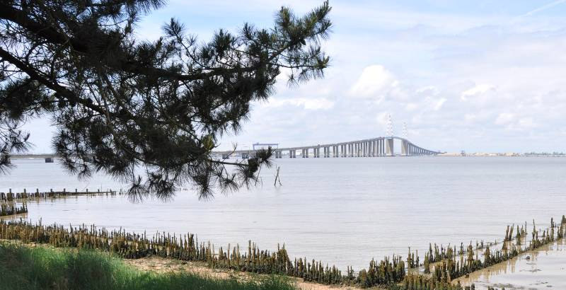  Vue sur l'estuaire depuis la rive gauche