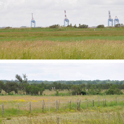 Des repres industriels dans le paysage agro-naturel des marais  tamaris