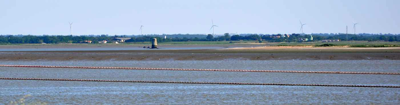 Paysage fluvial estuarien marqu par la tour de Sec