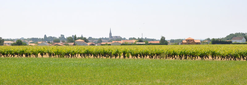 Une ouverture des paysages viticoles qui met en valeur les franges urbaines