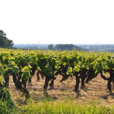 Un plateau inclin qui ouvre un large panorama sur l'agglomration nantaise