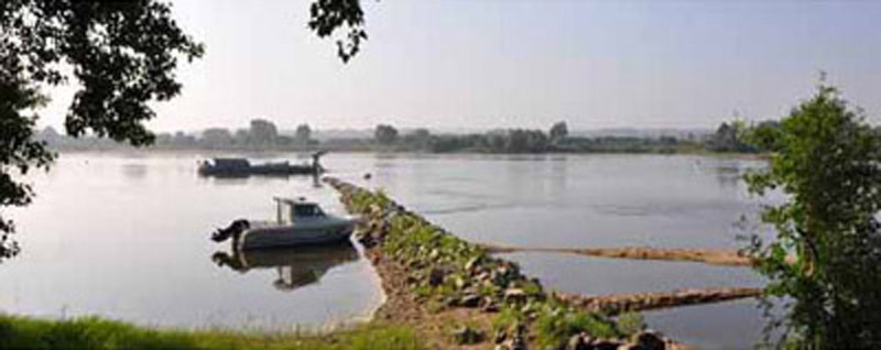 Epis mis sur la Loire
