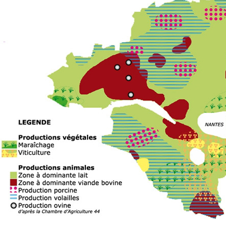 Productions agricoles