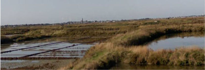 Le bourg de Batz-sur-Mer vu depuis les marais de Gurande