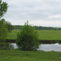 Marais de la valle de l'Acheneau