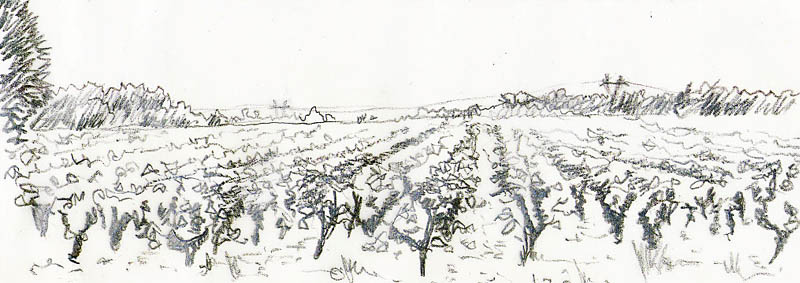 Paysage viticole  Bouaye