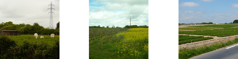 Paysages ruraux, du bocage au marachage