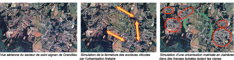 Simulation d'volution des paysages sur le territoire de St Aignan de grandlieu