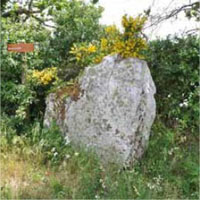 Menhir 