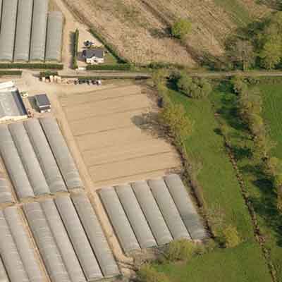 Emergence dun paysage de marachage remplaant le macro-bocage