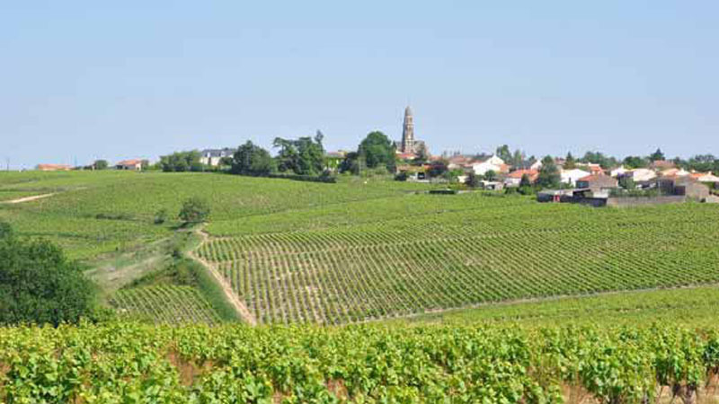 Promontoire viticole de Saint Fiacre 