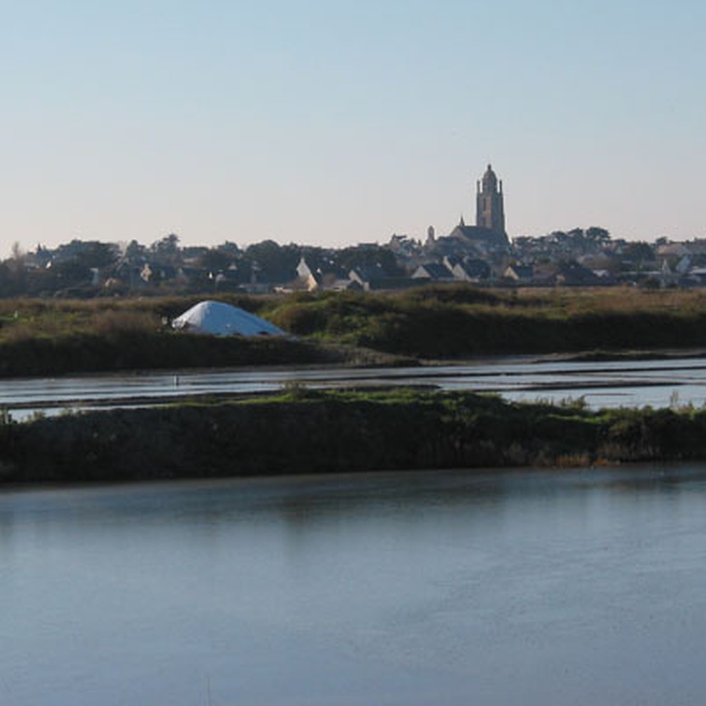 La faade nord de la prsqu'le du Croisic rsolument tourne vers le marais