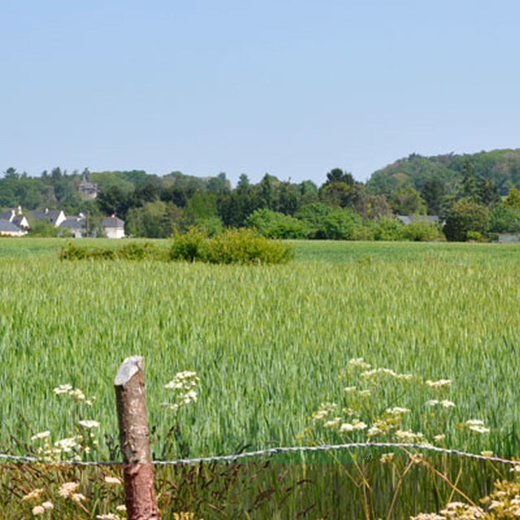 Coteau matrialisant dans le paysage les failles gologiques du Sillon de Bretagne