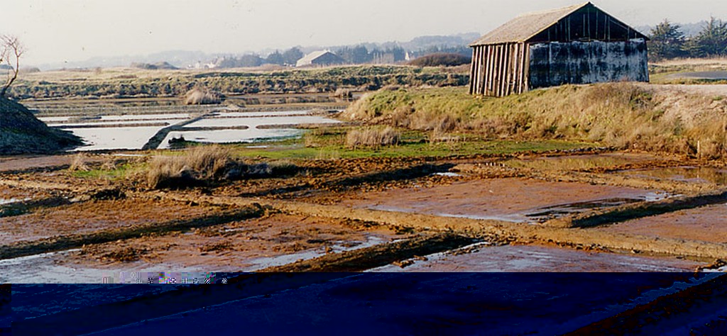 Les marais de Gurande vus du site du Pradel