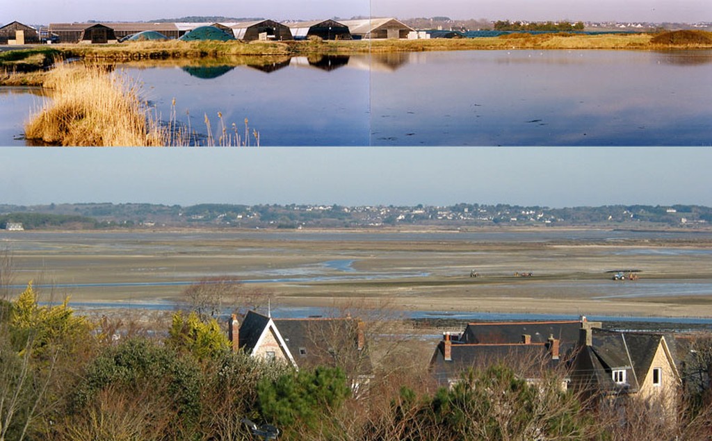 Salorges du Pradel et vue sur le marais depuis le Croisic